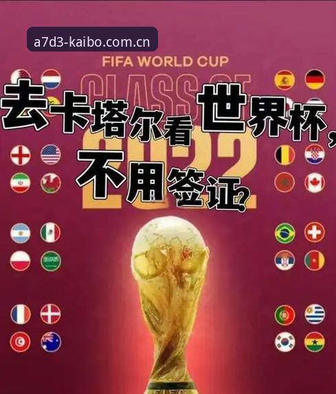 世界杯观赛受阻？掌握签证应对策略的实用指南